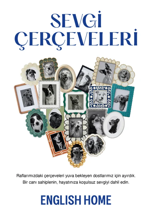 English Home’un “Sevgi Çerçeveleri” Projesine 3 Prestijli Ödül
